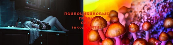 кокаин колумбия Вяземский