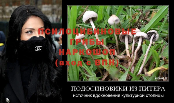 первитин Вязьма