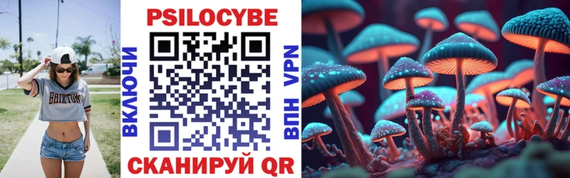 Псилоцибиновые грибы мицелий  Муром 